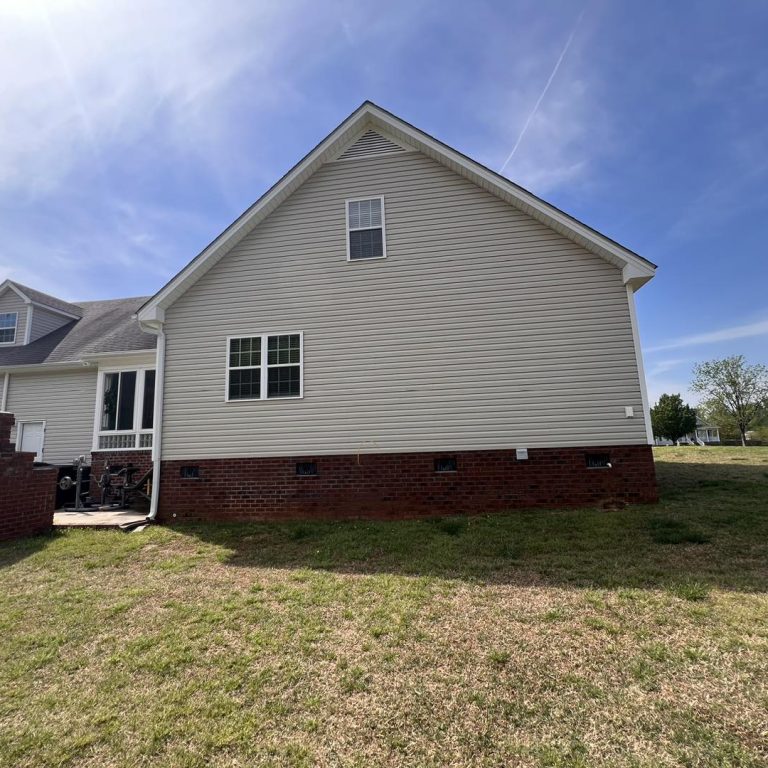 Algae Cleaning After