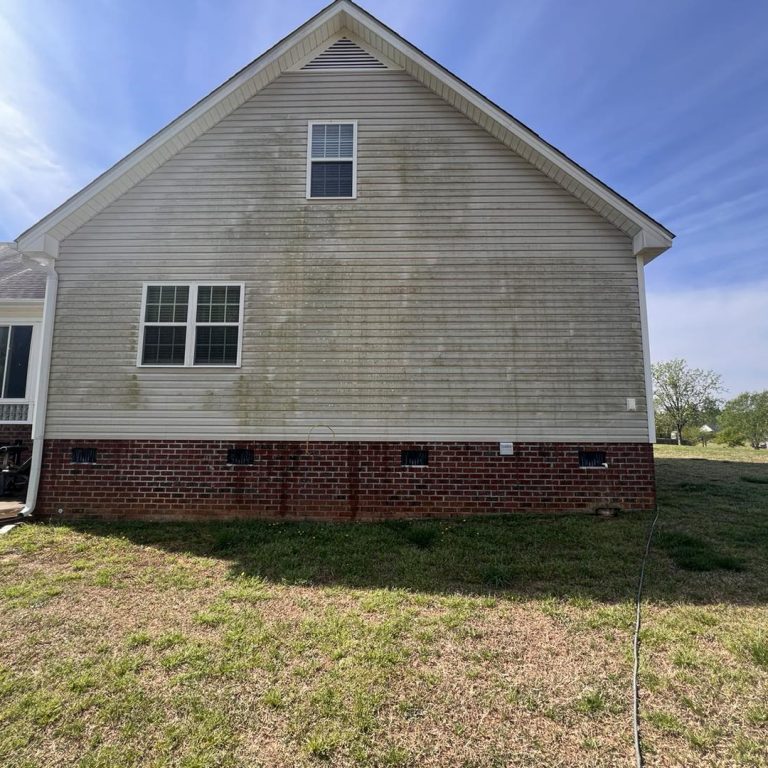 Algae Cleaning Before