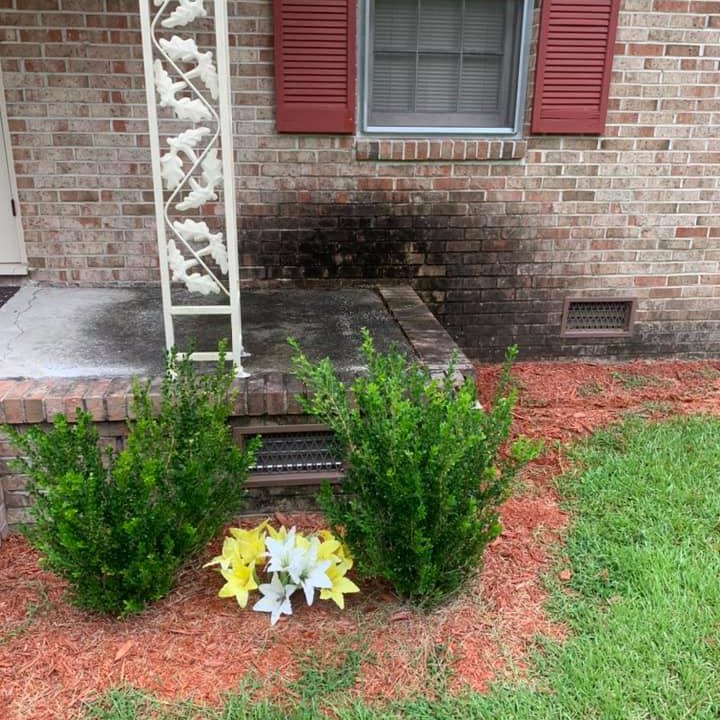 Brick cleaning Before