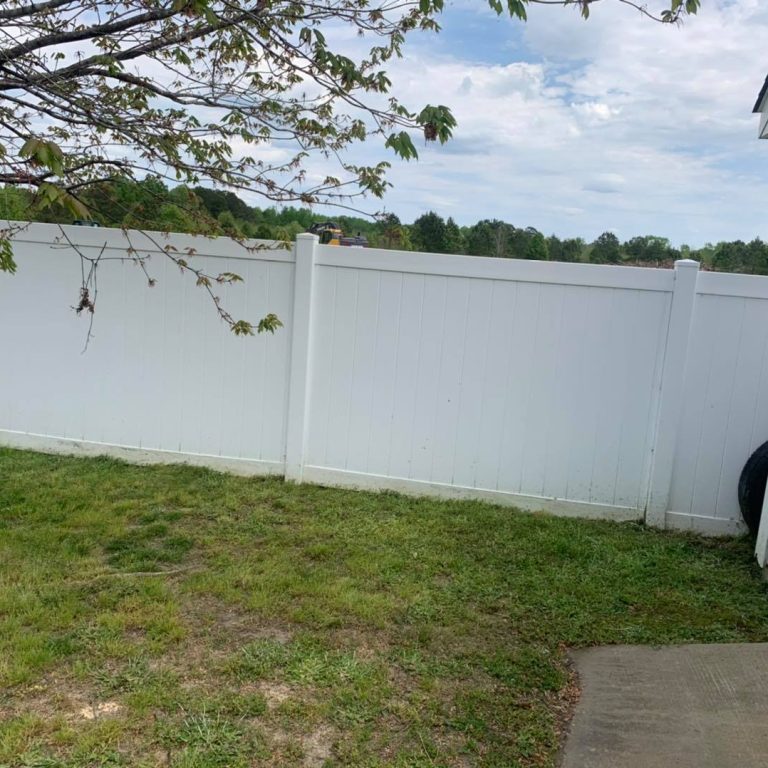 Fence Cleaning Services Before