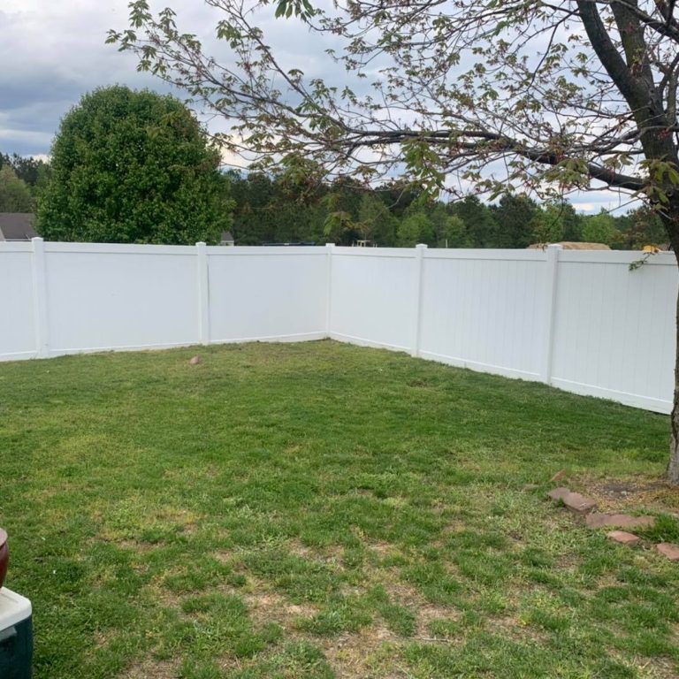 Fence Cleaning Services After